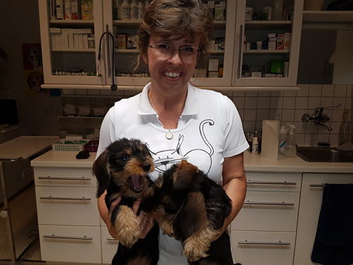 Dr. Ludwig mit Ari Dr. Ludwig mit Ari